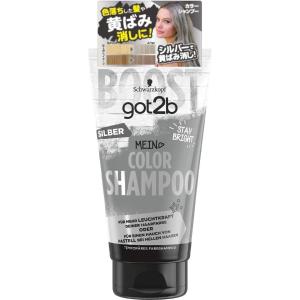 ティアラ SHISEIDO 資生堂 トリートメント カラー リンス グレー 220g