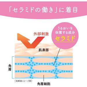 メリーズ ベビー全身泡ボディウォッシュ 新生児...の詳細画像2