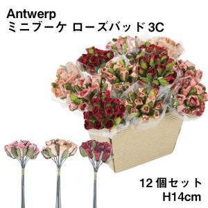 Antwerp ミニブーケ ローズバッド3C 12個セット｜pocchione-kabegami