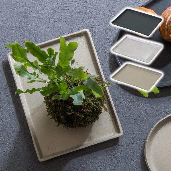 小物入れ トレイ トレー 鉢受け皿 収納 おしゃれ レクタングルプレート