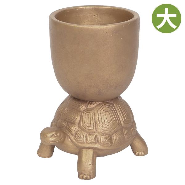 植木鉢 かわいい カメ型 亀 穴あき セメントポット キンカメポット 大