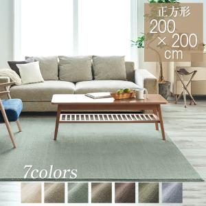 スミノエ ラグ ラグマット カーム 140×200cm 日本製 オールシーズン