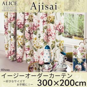 スミノエ 既製カーテン ディズニー 「クラシックプー シーン」 100