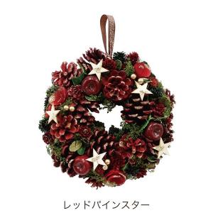 クリスマスリース グレイスリース (L)の詳細画像4