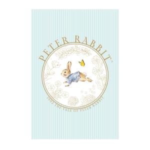 ピーターラビット（PETER RABBIT） ポストカード（RADISH） PR-PT005