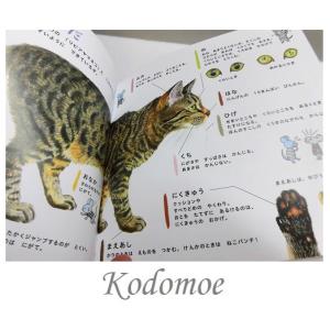 ねこのずかん いぬのずかん コドモエのえほん 白泉社の詳細画像2