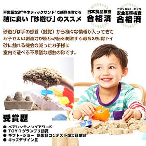 ラングスジャパン RANGS キネティックサン...の詳細画像3