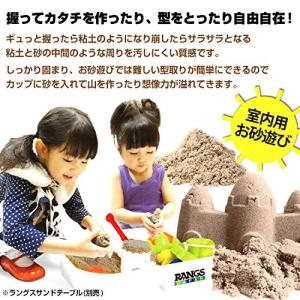 ラングスジャパン RANGS キネティックサン...の詳細画像4