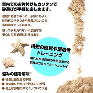 ラングスジャパン RANGS キネティックサン...の詳細画像5