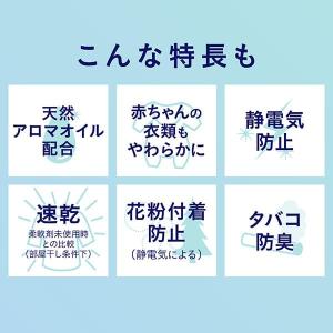 業務用 大容量ソフランプレミアム消臭 柔軟剤 ...の詳細画像3