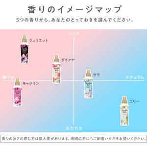 まとめ買い 大容量ソフラン アロマリッチ エリ...の詳細画像5