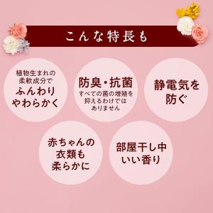 まとめ買い 大容量ソフラン アロマリッチ エリ...の詳細画像2
