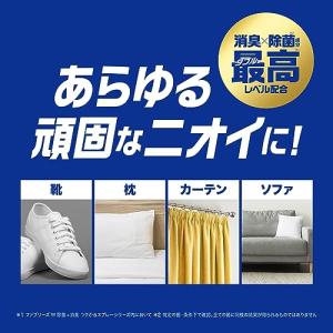 ファブリーズ プレミアム 消臭スプレー 消臭 ...の詳細画像2