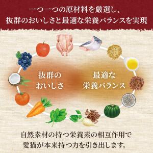ニュートロ シュプレモ 成猫用 チキンサーモン...の詳細画像2