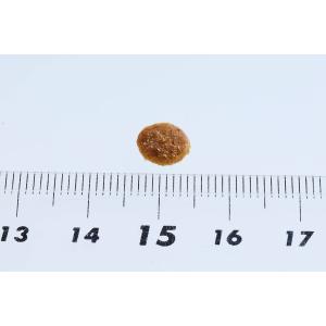 ニュートロ シュプレモ 成猫用 チキンサーモン...の詳細画像5