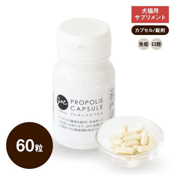 J＆C プロポリスカプセル 60粒 ドッグフード サプリメント 犬 猫 タブレット 免疫 口腔ケア