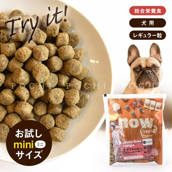 ナウフレッシュ (NOW Fresh) グレインフリー フィッシュアダルト お試しミニサイズ 50g...