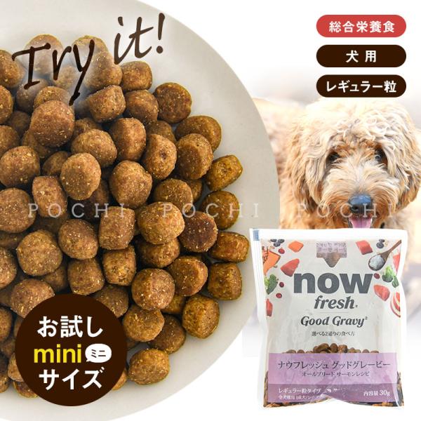 ナウフレッシュ DOG グッドグレービー オールブリード　サーモンレシピ お試しミニサイズ　成犬用 ...