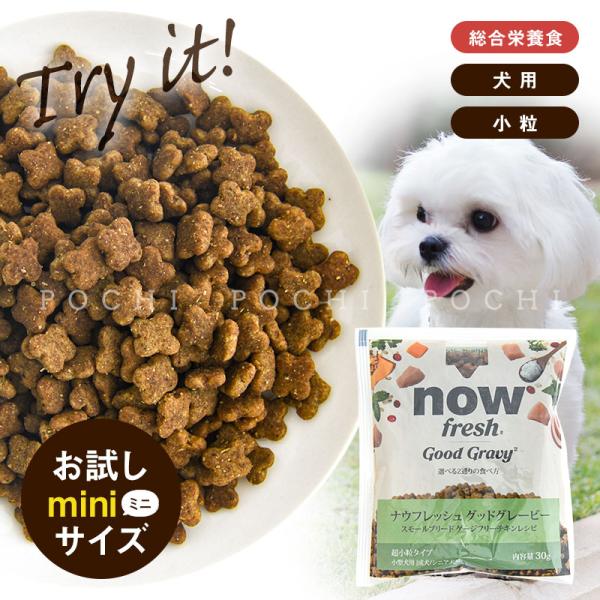 ナウフレッシュ DOG グッドグレービー スモールブリード ゲージフリーチキンレシピ お試しミニサイ...