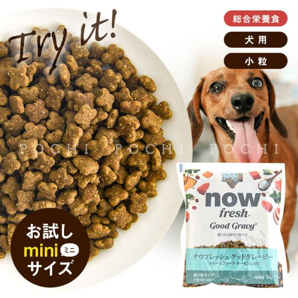 ナウフレッシュ DOG グッドグレービー スモールブリード サーモンレシピ お試しミニサイズ　成犬用...