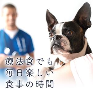 POCHI (ポチ) 食事療法食 ウェット 腎...の詳細画像5