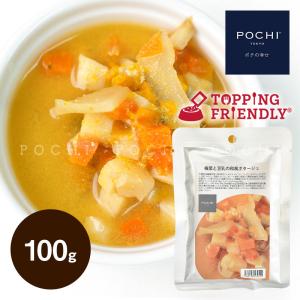 POCHI (ポチ) 根菜と豆乳の和風ポタージュ 100g ドッグフード トッピング レトルト おかず 手作り食