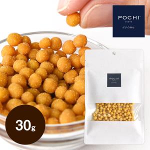 POCHI (ポチ) ナチュラルチーズボール トレーニングビッツ 30g ドッグトリーツ 犬のおやつ　