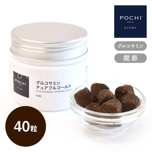 POCHI (ポチ) グルコサミンチュアブルゴールド 40粒 犬のサプリメント 関節　