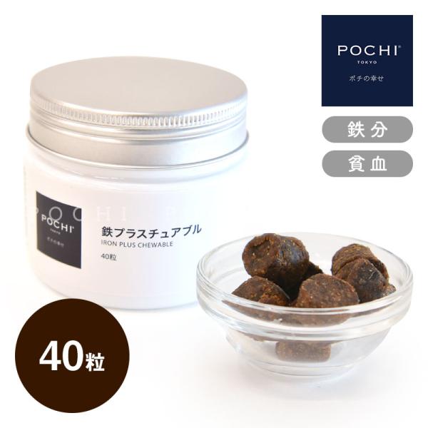 POCHI (ポチ) 鉄プラスチュアブル 40粒 犬のサプリメント 鉄分　
