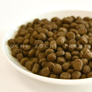 POCHI (ポチ) ザ・ドッグフード ベーシ...の詳細画像2
