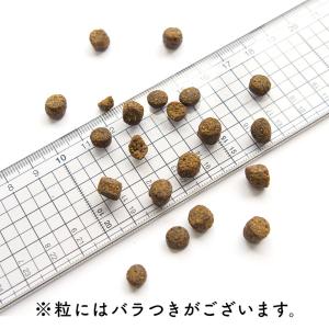 POCHI (ポチ) ザ・ドッグフード ベーシ...の詳細画像3