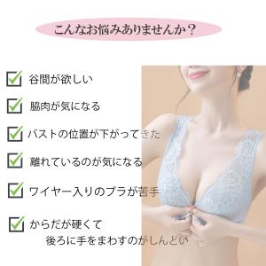 ブラジャーショーツセット 大きいサイズ ノンワ...の詳細画像1