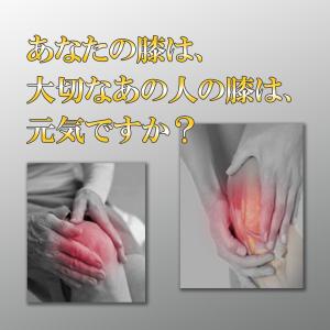 膝サポーター ひざサポーター 男女兼用 膝を支...の詳細画像1