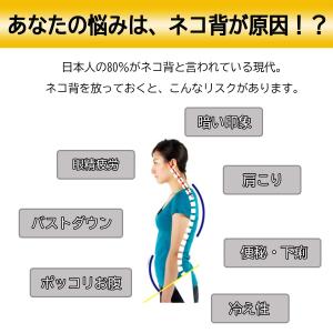 姿勢矯正 二の腕シェイプ 猫背改善 引き締め ...の詳細画像1