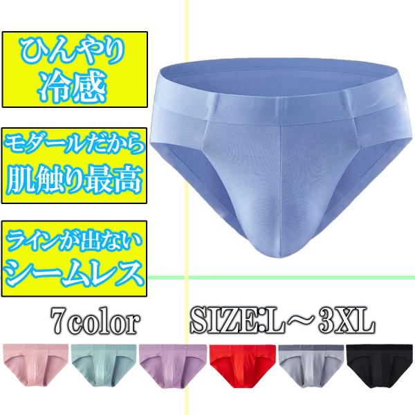 ブリーフ メンズブリーフ ビキニブリーフ メンズビキニ ビキニパンツ ブリーフパンツ メンズ下着 モ...