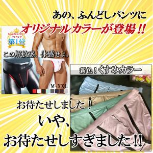 SALE 4日限定 全品5％OFF！ ふんどしパンツ メンズビキニ ビキニブリーフ メンズ下着 メンズショーツ ビキニ ビビットカラー ふんどし ふんどし風｜Cheblo