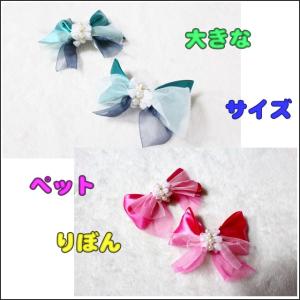 サミュエル 池 見える 犬 首輪 リボン 手作り マント マガジン 宿題