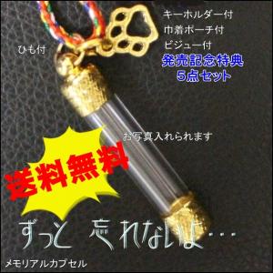 メモリアルカプセル　遺骨カプセル　B　透明　　　　　　　　　　　　　　　　　　　　手元供養　お骨　遺灰　遺骨ペンダント　犬　ドック　猫　ねこ　SNS