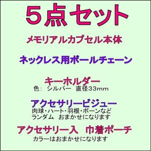 メモリアルカプセル 遺骨カプセル F 防水 手...の詳細画像1