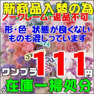 プリザーブドフラワー ライスフラワー パステルカラー