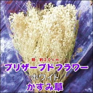 増量中 プリザーブドフラワー 白 かすみ草　　　　　　　　　　　　　ドライフラワー