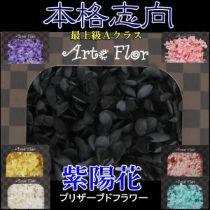 プリザーブドフラワー 最Aランク紫陽花　　　　　　　　　　　　　　　ドライフラワー
