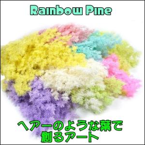 プリザ レインボーパイン (松) 8色　　　　　　　　　　　　　プリザーブドフラワー