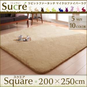 ラビットファータッチマイクロファイバーラグ Sucre シュクレ スクエア 長方形 200×250cm