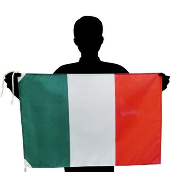 イタリア国旗 L トリコローレ 応援サイズ:50×75cm 高級テトロン製 日本製
