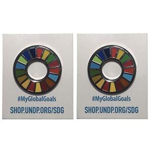 国連本部限定販売 SDGs ピンバッジ 日本未発売 UN 2個セット｜pochon-do