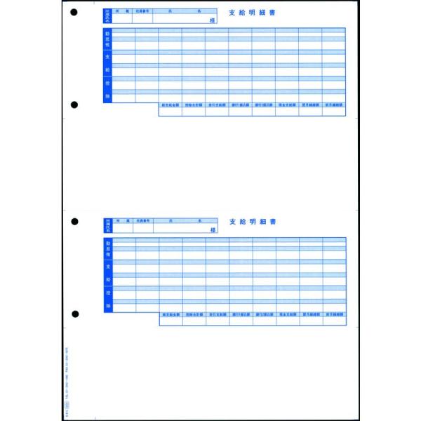 オービックビジネスコンサルタント 単票封筒用支給明細書 09-SP6202