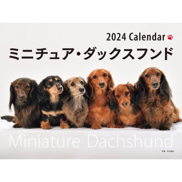 2024年カレンダー ワイド判 ミニチュア・ダックスフンド (誠文堂新光社カレンダー)