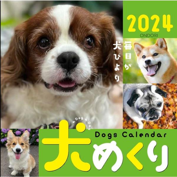 Dogs Calendar 犬めくり2024: 毎日が犬びより (カレンダー)