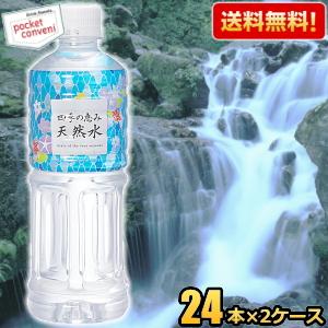 送料無料 四季の恵み 天然水 550mlペットボトル 48本(24本×2ケース) 軟水 ミネラルウォ...